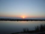 DSCF0703.JPG