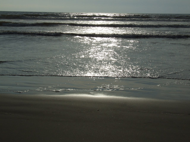 DSCF0720.JPG