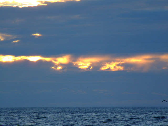 Fire in the sky