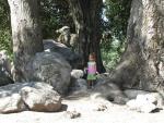 Rocky play ground