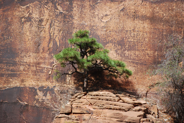 DSC_0018