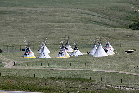 Head Smashed In Buffalo Jump July-08 001