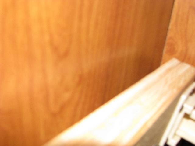 Picture 008