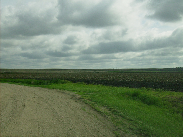 The field behind the RV Park