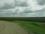 The field behind the RV Park