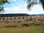 IMG_0021 (2)