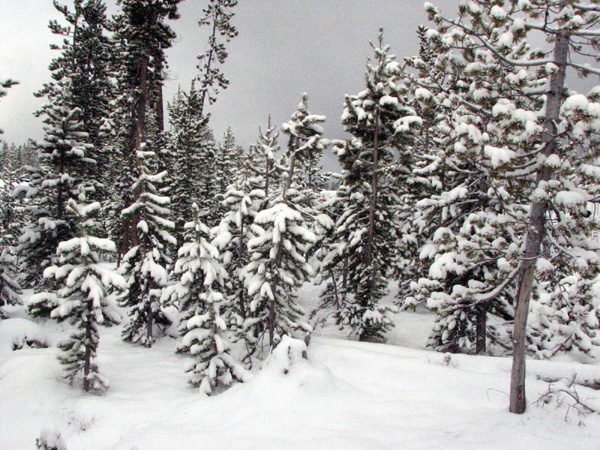 MoreSnow2E