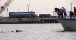 DolphinWatch1e