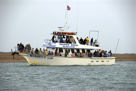 DolphinWatch2e