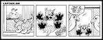 4-6BirdsStripE