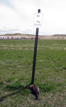 Sign1e