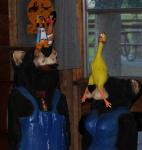 Chicken & Friends