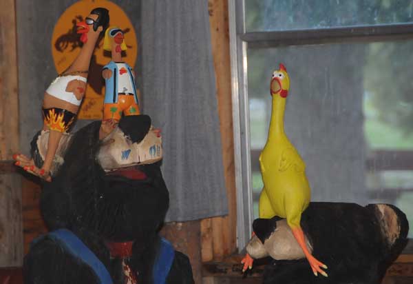 Chicken & Friends