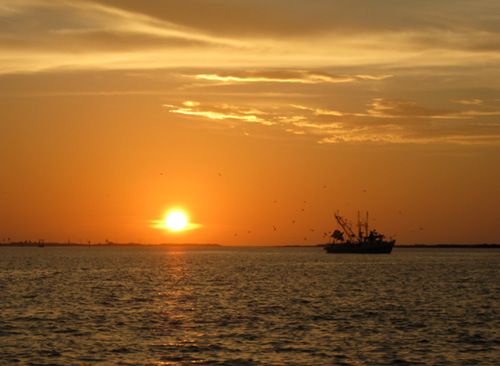 Sunrise5e