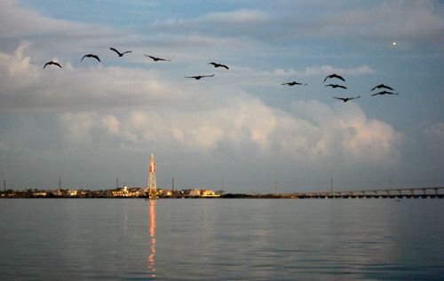 FlyByE