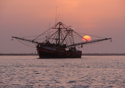 ShrimperSunriseE