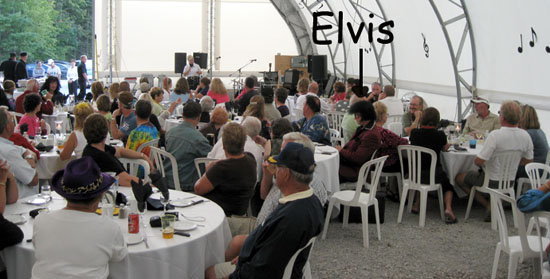ElvisCrowdE
