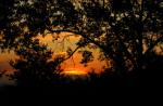 SunriseE
