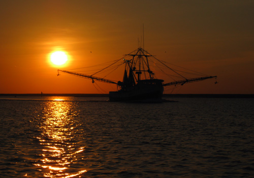 ShrimperSunsetE