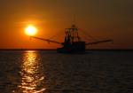 ShrimperSunsetE