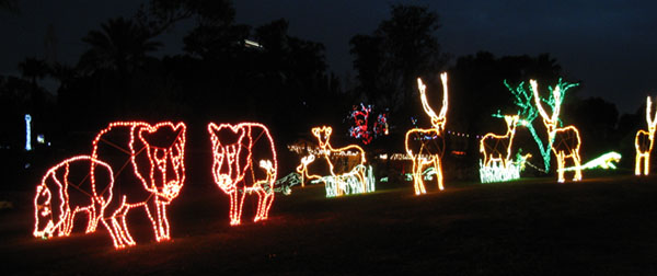 ZooLights3e