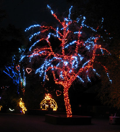 ZooLights4e