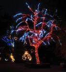 ZooLights4e