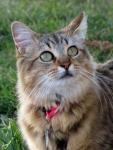 IzLookingUpE