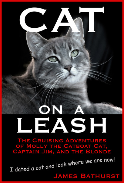 CatOnALeash coverE2