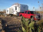 TXCactusE