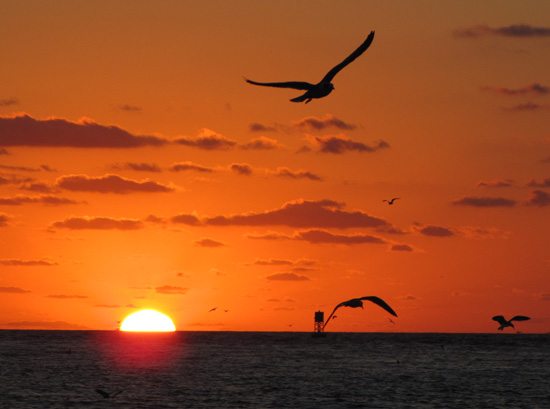 GulfSunrise3e
