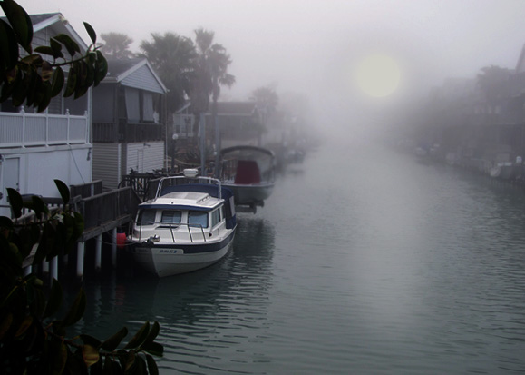 WBFog