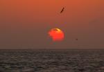 SunriseE