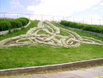 Celtic influence in Butte, MT
