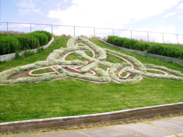 Celtic influence in Butte, MT