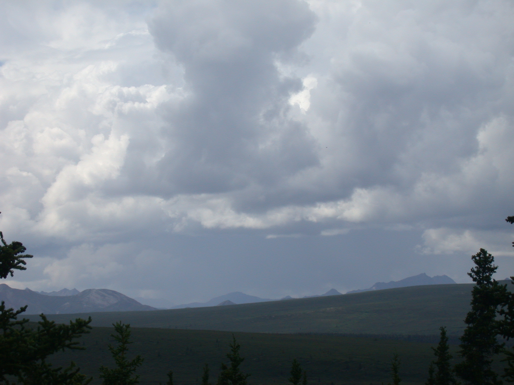 Alaskan Adventure