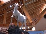 Alaskan Adventure