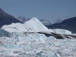 Alaskan Adventure