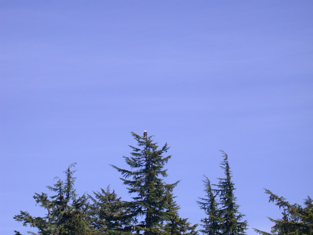 Alaska 2007 040